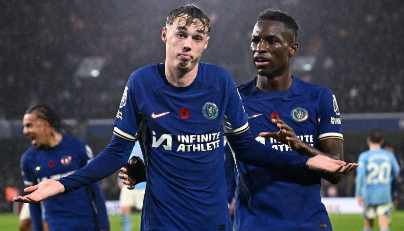 组织的功能 组织的功能