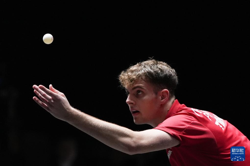 应当发挥在 应当发挥在