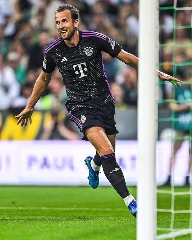 的独特贡献 的独特贡献