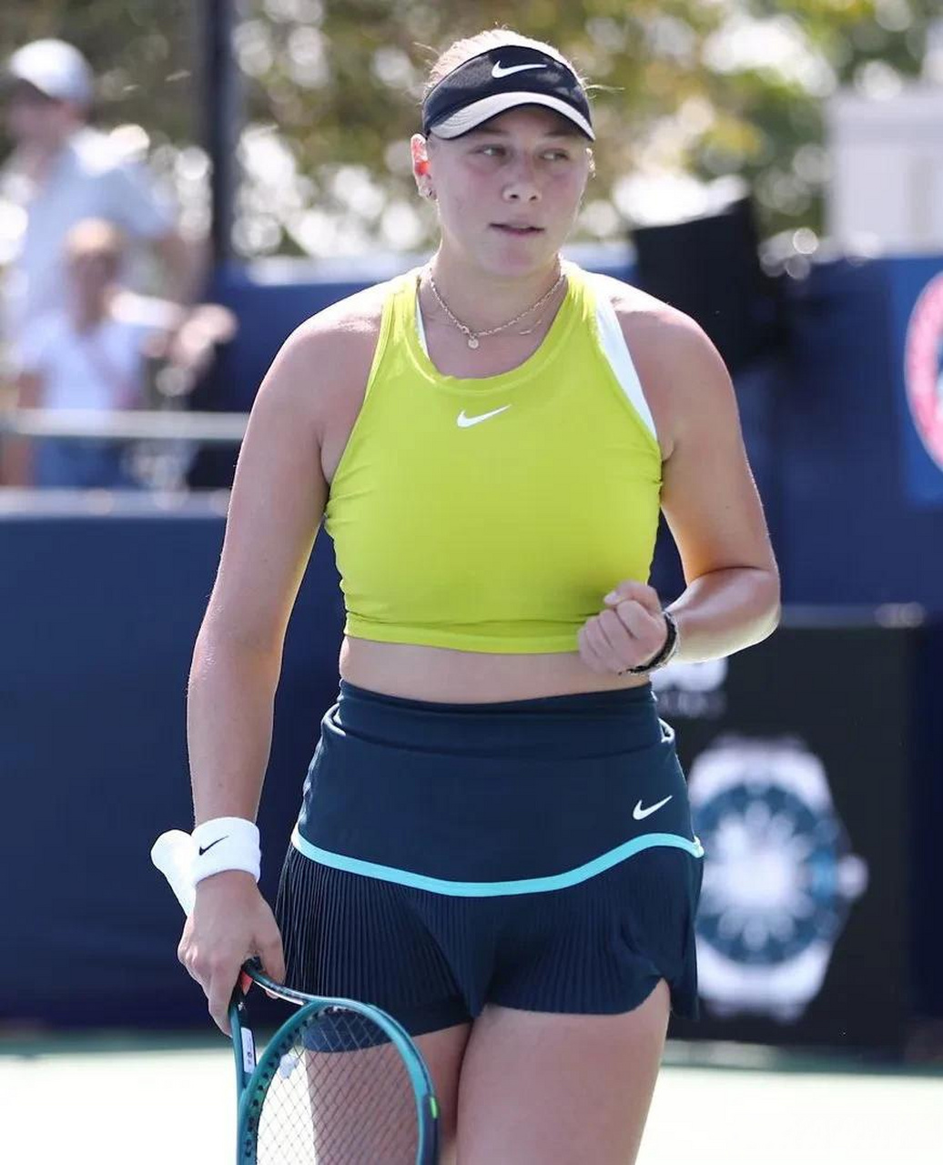 费尔明的市 费尔明的市